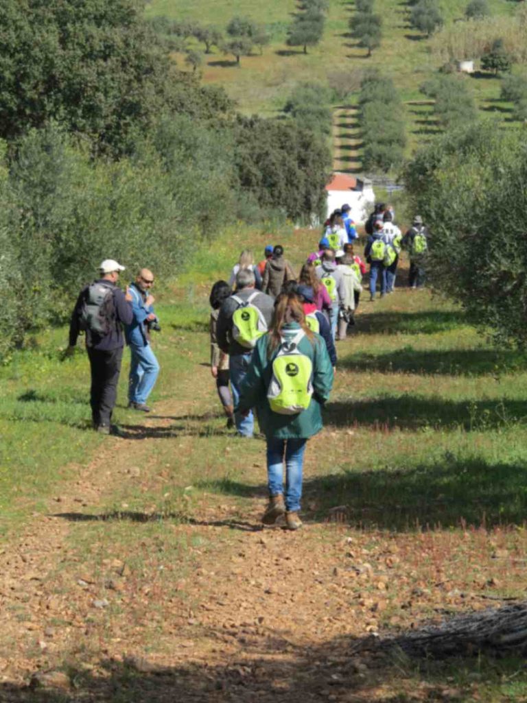 Pessoas a andar no campo, em trilhos na natureza