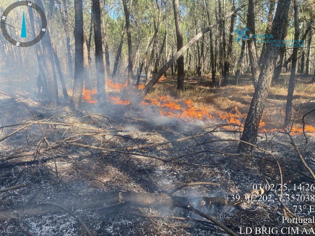 Ação de fogo de controlado na Serra de São Mamede