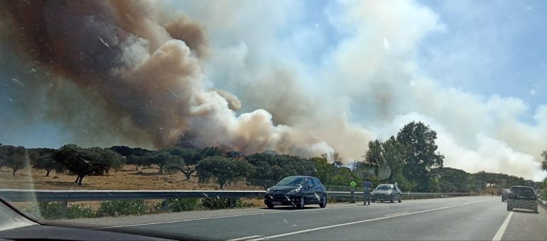 sapadores no combate aos incêndios